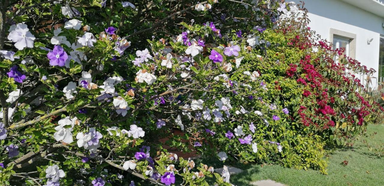 Casa Landimヴィラ エクステリア 写真