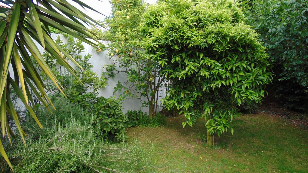 Casa Landimヴィラ エクステリア 写真